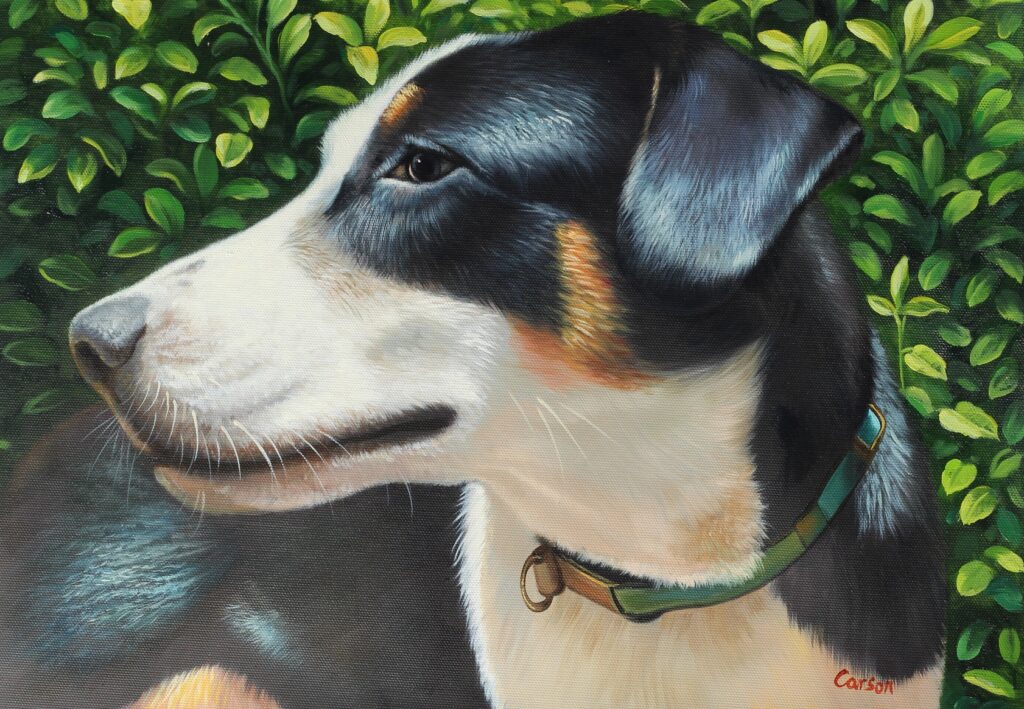 a photorealistic painting of a black and white dog looking left, among green brushes and yellow flowers