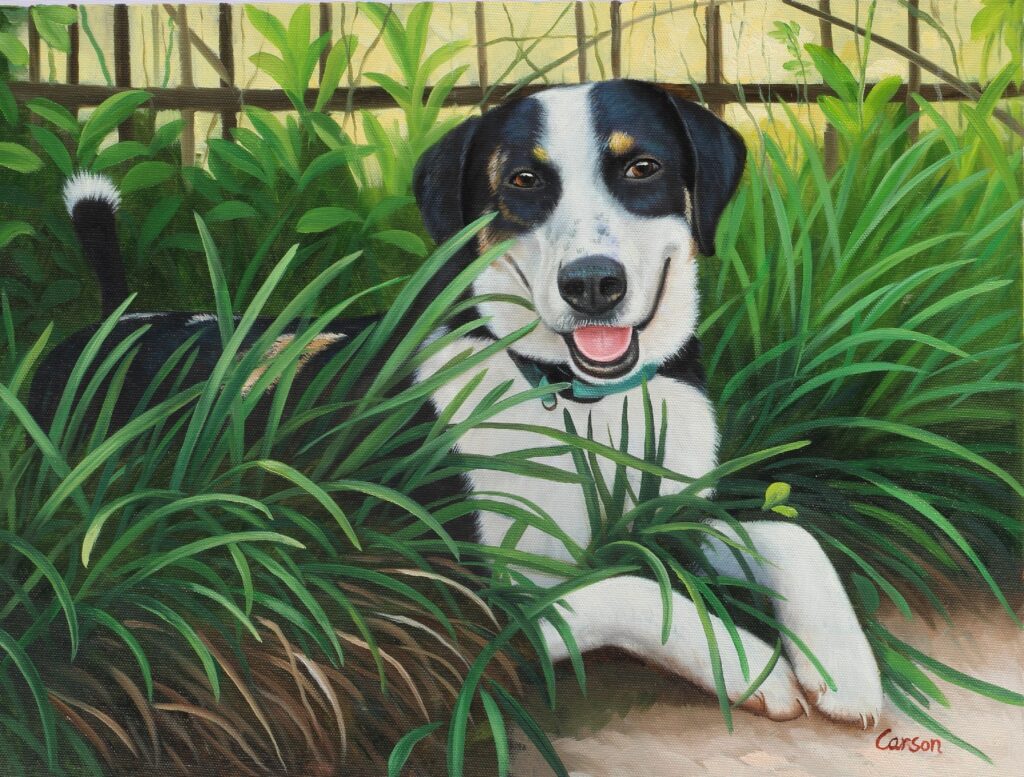 a photorealistic painting of a black and white dog among tall grass