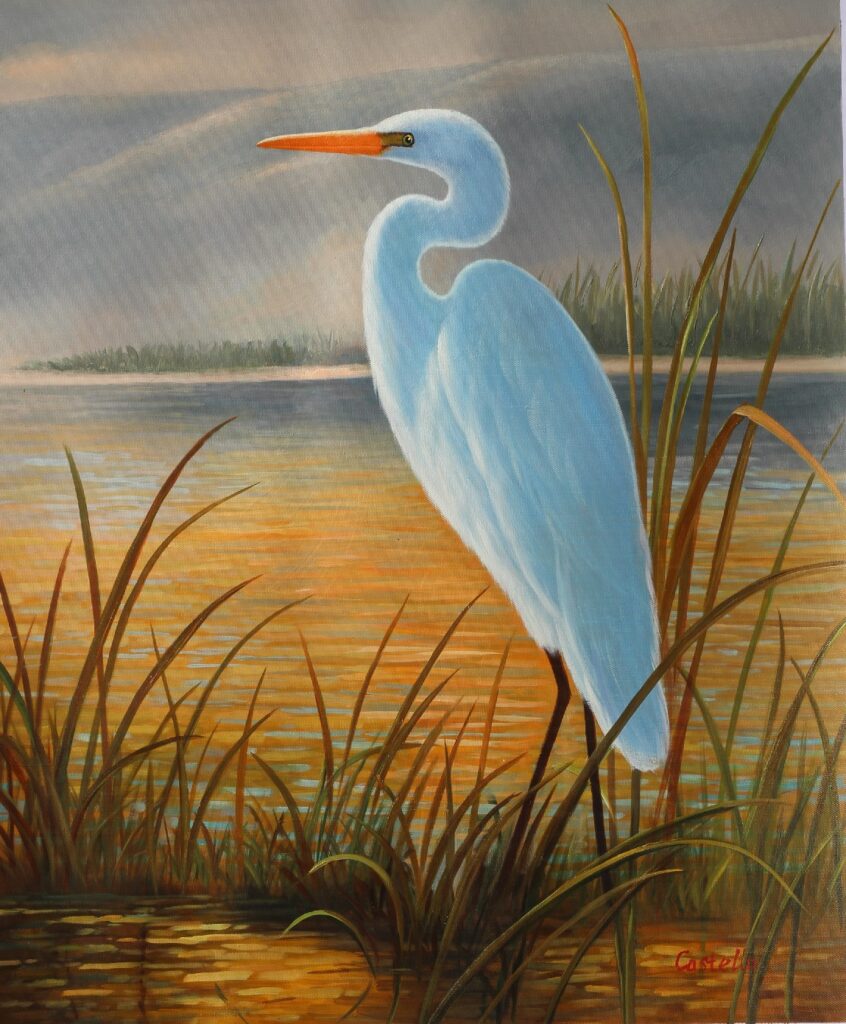 24x20; a white egret, facing left, against a brown and golden background of wetlands