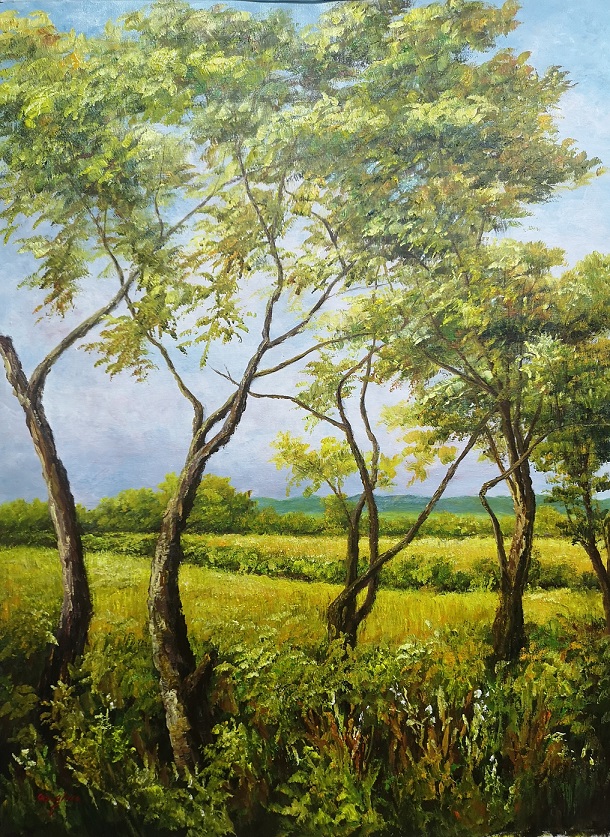 40x30; the view of a grassland throughslender trees 